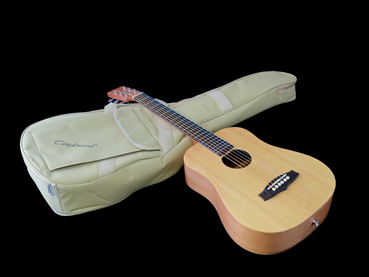 Tanglewood TWR-T – 1